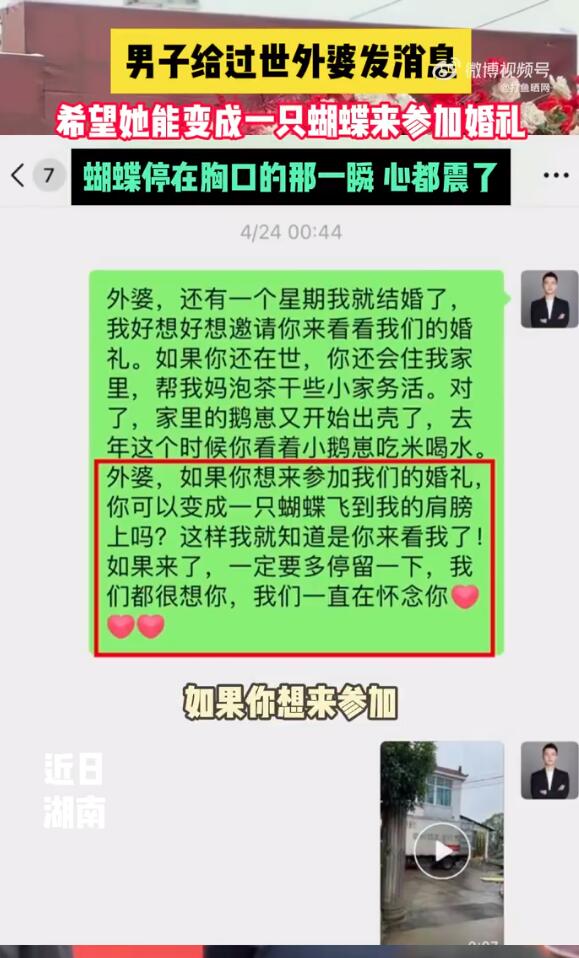 蝴蝶停在新郎胸口那一刻心震了 网友：在地铁上看到这个哭的稀里哗啦