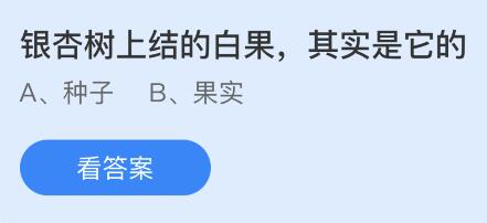 银杏树上结的白果其实是它的什么？蚂蚁庄园今日答案最新5.14