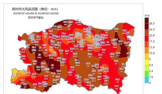 郑州的风有多大 全城落叶 不少大树也被连根拔起