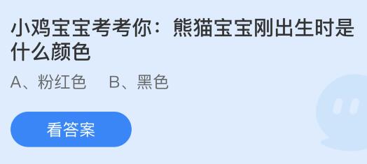 熊猫宝宝刚出生时是什么颜色？蚂蚁庄园6.14今日正确答案最新