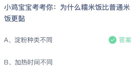 小为什么糯米饭比普通米饭更黏？蚂蚁庄园8.13今日答案最新